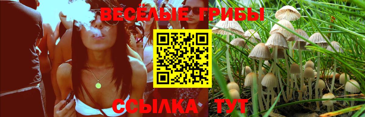Псилоцибиновые грибы MAGIC MUSHROOMS  Вход с VPN  Ростов-на-Дону 
